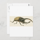 Hercules Beetle Postkarte (Vorne/Hinten)