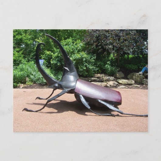 Hercules Käfer Skulptur Postkarte (Vorderseite)