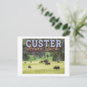 HERD BISON - KUNDENPARK STAAT - SÜDDAKOTA POSTKARTE (Stehend Vorderseite)