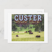 HERD BISON - KUNDENPARK STAAT - SÜDDAKOTA POSTKARTE (Vorne/Hinten)