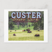 HERD BISON - KUNDENPARK STAAT - SÜDDAKOTA POSTKARTE (Vorderseite)