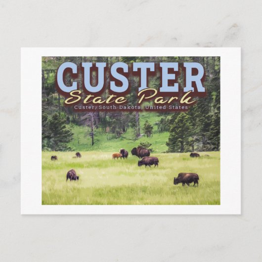 HERD BISON - KUNDENPARK STAAT - SÜDDAKOTA POSTKARTE (Vorderseite)