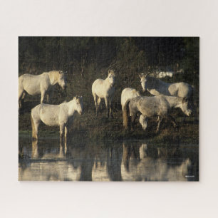 Herd Camargue Ponies Stehend im Wasser Puzzle