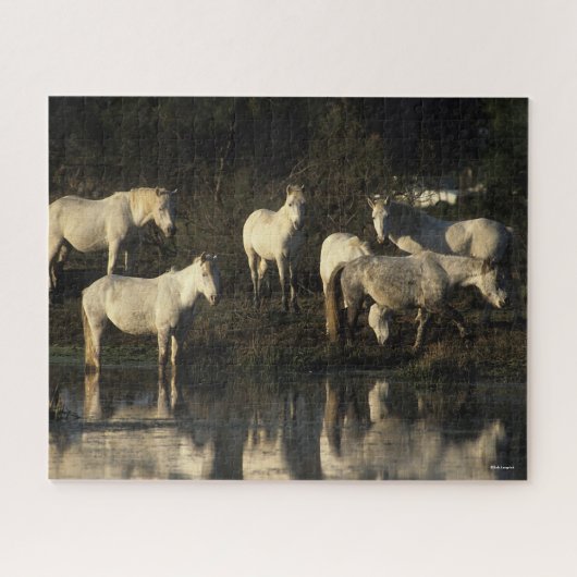 Herd Camargue Ponies Stehend im Wasser Puzzle (Horizontal)