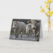 Herd, dass du Geburtstag hast! Karte (Gelbe Blume)