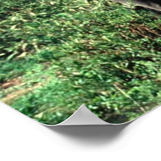 Herd der Elefanten-Plakat Poster (Ecke)