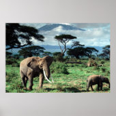 Herd der Elefanten-Plakat Poster (Vorne)