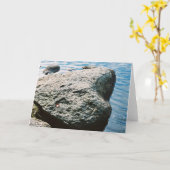 Herd-Felsen Karte (Gelbe Blume)