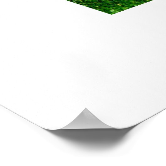 HERD JERSEY COWS POSTER (Ecke)