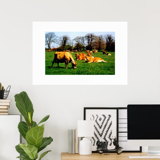 HERD JERSEY COWS POSTER (Heimbüro)