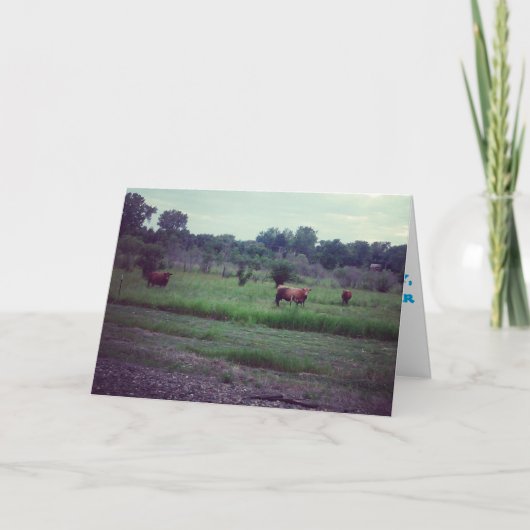 "Herd of Cows" Get Well Card Karte (Vorderseite)