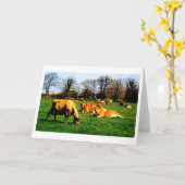Herd of Jersey cows Karte (Gelbe Blume)