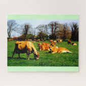 Herd of Jersey cows Puzzle (Horizontal)