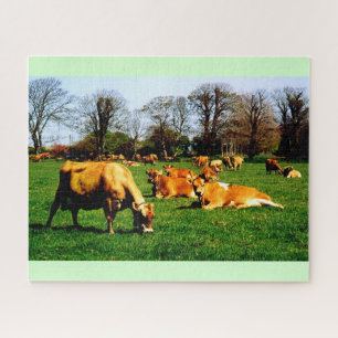 Herd of Jersey cows Puzzle