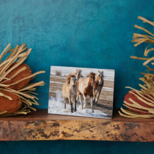 Herd of Mixed Breed Horses Running in the Snow Fotoplatte