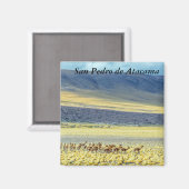 Herd of Vicunas Magnet (Vorderseite/Rückseite)