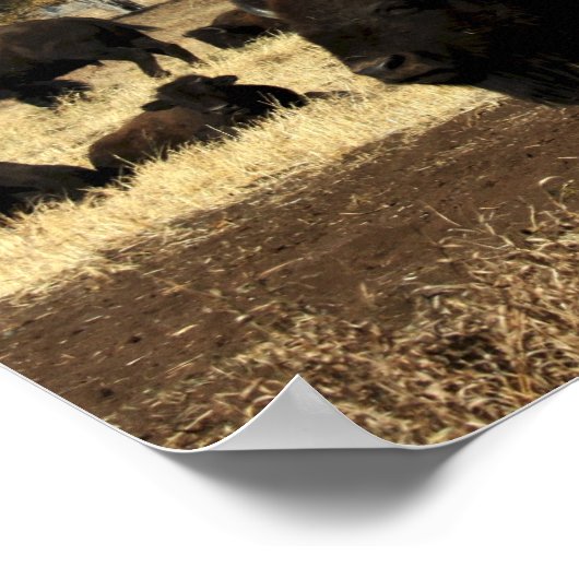 Herd von Buffalo Poster (Ecke)