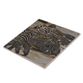 Herd von Burchell's Zebras trinken aus Mara Fliese (Seite)