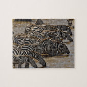 Herd von Burchell's Zebras trinken aus Mara Puzzle (Horizontal)
