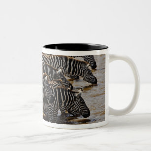Herd von Burchell's Zebras trinken aus Mara Zweifarbige Tasse
