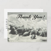 Herd von Walruses "Danke!" Postkarte (Vorne/Hinten)