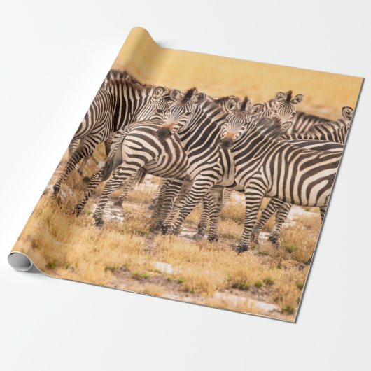HERD VON ZEBRAS GESCHENKPAPIER (Ungerollt)