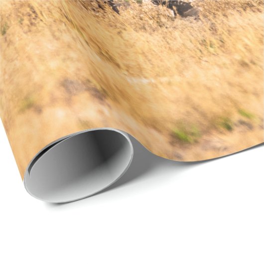 HERD VON ZEBRAS GESCHENKPAPIER (Rolleneckpunkt)