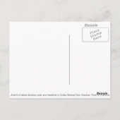 Herd Zebra von Waterhole in Etosha, Namibia Postkarte (Rückseite)