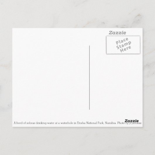 Herd Zebra von Waterhole in Etosha, Namibia Postkarte (Rückseite)