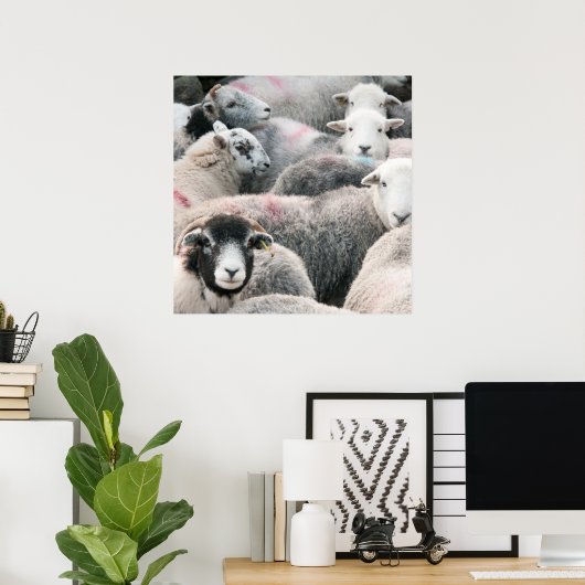 Herdbastgewächse Poster (Heimbüro)