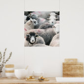 Herdbastgewächse Poster (Küche)