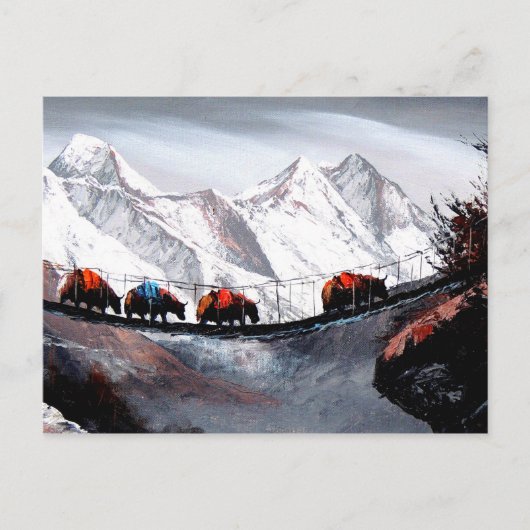 Herde der Bergjaks Himalaya Postkarte (Vorderseite)