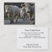 Herde der CharolaisMastvieh Visitenkarte (Vorne/Hinten)