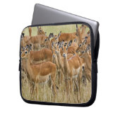 Herde der Frau Impala, Masai Mara, Kenia. Laptopschutzhülle (Vorderseite Links)