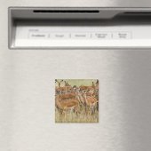 Herde der Frau Impala, Masai Mara, Kenia. Magnet (In Situ (Geschirrspüler))