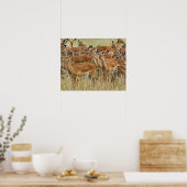Herde der Frau Impala, Masai Mara, Kenia. Poster (Küche)