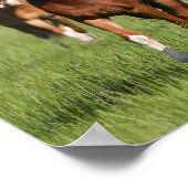 Herde der im Feld Stehenden walisischen Ponys Poster (Ecke)