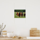 Herde der im Feld Stehenden walisischen Ponys Poster (Küche)