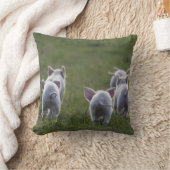 Herde der niedlichen Ferkel auf Kissen (Decke)