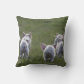 Herde der niedlichen Ferkel auf Kissen (Rückseite)