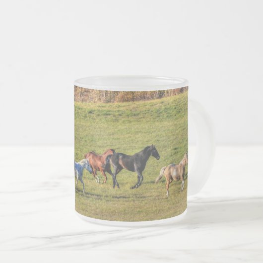 Herde, der Reitpferde betreibt, Pferdekühe Foto 2 Mattglastasse (VorderseiteRechts)