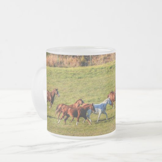 Herde, der Reitpferde betreibt, Pferdekühe Foto 2 Mattglastasse (Vorderseite Links)