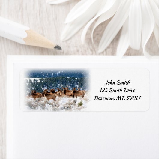 Herde der Rücksendeadresse Elk (Insitu)