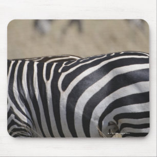 Herde der weiden lassenden Zebras, Mousepad