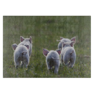 Herde des Ferkel-Schneidebretts Schneidebrett