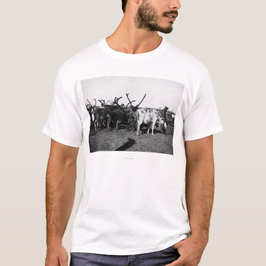 Herde des Rens in Alaska-Fotografie T-Shirt (Vorderseite)