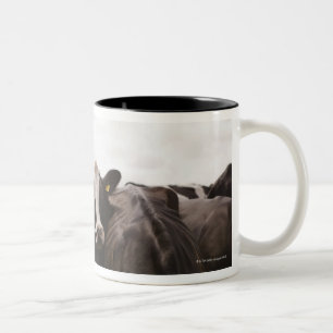 Herde des Viehs und des bewölkten Himmels Zweifarbige Tasse