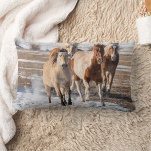 Herde gemischter Pferde, die im Schnee laufen Lendenkissen