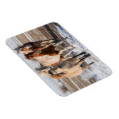 Herde gemischter Pferde, die im Schnee laufen Magnet (Rechte Seite)