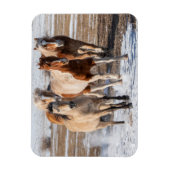 Herde gemischter Pferde, die im Schnee laufen Magnet (Vertikal)